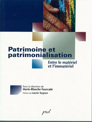 cover image of Patrimoine et patrimonialisation